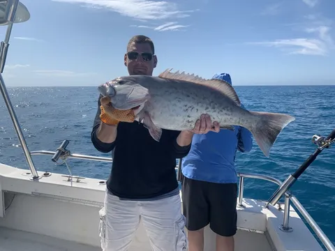 An angler offshore holding a large gray grouper